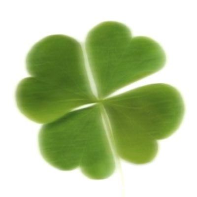 clover
